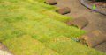 Creative Landscape Designers,full service Swimming Pool & Landscape