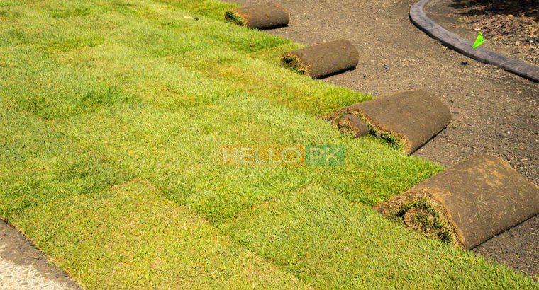 Creative Landscape Designers,full service Swimming Pool & Landscape