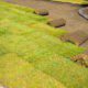 Creative Landscape Designers,full service Swimming Pool & Landscape