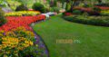 Creative Landscape Designers,full service Swimming Pool & Landscape