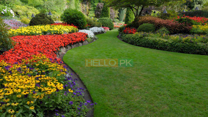Creative Landscape Designers,full service Swimming Pool & Landscape