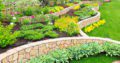 Creative Landscape Designers,full service Swimming Pool & Landscape