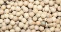 Import & export spices and dry-fruit very reasonable prices all round Pakistan