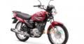 Get Hand to Hand Your YAMAHA YBR-125Z with HELMET FREE on Installment basis and Cash