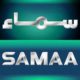 TV Channel Hiring.Animator Digital Media.able to work on Adobe After effects,illustrator,adobe premiere