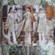 New Stuff Pure Lawn Cotton Only in Rs 1,100