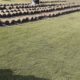 Best Korean & fine dhaka Grass available at my farm for schools colleges stadium or parks
