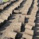 Best Korean & fine dhaka Grass available at my farm for schools colleges stadium or parks