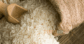Need Best Quality Rice,for Export.Cash Payment.wholesaler dealer aarhti contact us