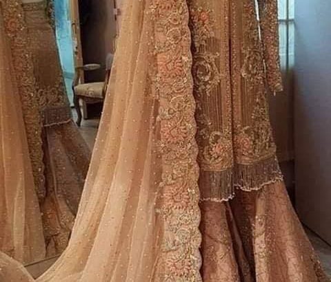 Amazing Bridal & Wedding Wear For order Contact Us