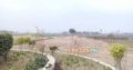 Best time for investment.8 marla plot for sale 44 foot frount Rs 18 lac