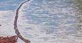 Royall Tours & travel Offers Honey Moon Packages.Group Tours.Corporate Tours & Family Trips