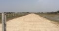 Land Available for Farm Houses Main burki road.3 4 6 8 15 Kanal
