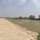 Land Available for Farm Houses Main burki road.3 4 6 8 15 Kanal