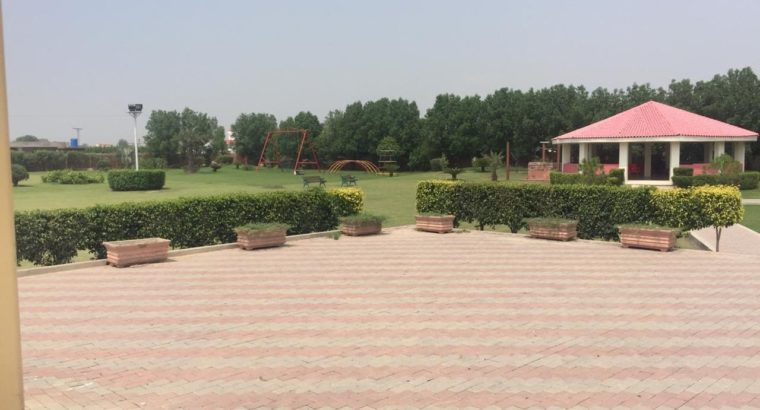 Land Available for Farm Houses Main burki road.3 4 6 8 15 Kanal