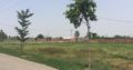 Land Available for Farm Houses Main burki road.3 4 6 8 15 Kanal