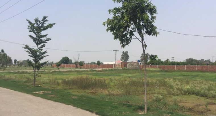 Land Available for Farm Houses Main burki road.3 4 6 8 15 Kanal