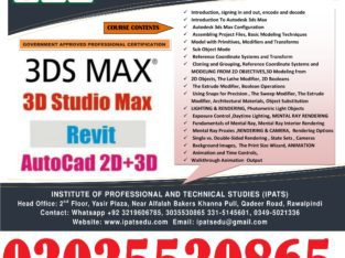 3D Max Professional Course