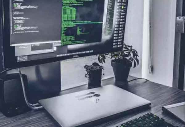 We need WordPress & Graphics Designer Expert | Home Based Job