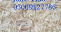 Best Quality 1121 Sella Rice Colour Sort Available