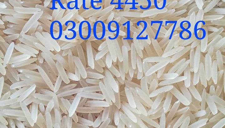 Best Quality 1121 Sella Rice Colour Sort Available