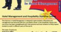 Diploma in Teaching Skills for Educators Course