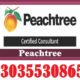 Peachtree Pro Accounting 2009