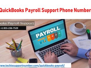 QuickBooks Payroll Support Phone Number +1 855-236-7529