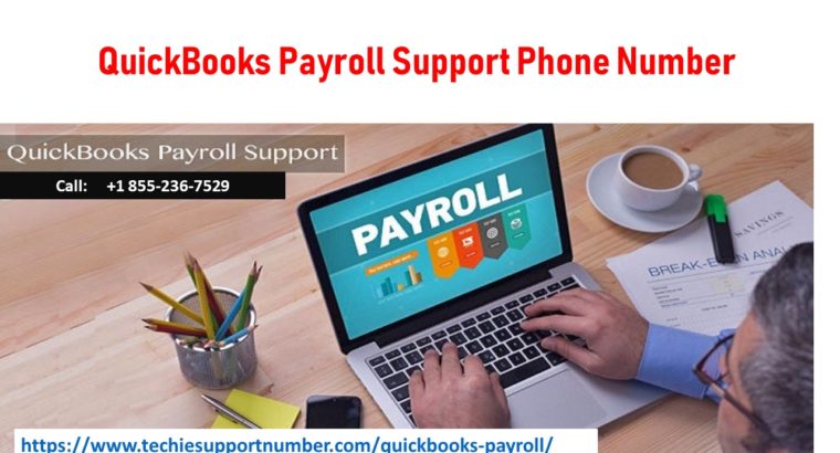 QuickBooks Payroll Support Phone Number +1 855-236-7529