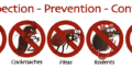 Termite Fumigation,Rats,Rodent Control Kitchen Gell Treatment No Smell