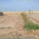 120/200/240 sqy Residential /80 sqy Commercial Plots For Sale.Punjabi Saudagran