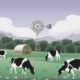 1000 To 4000 Yards Plots.Cattle Farm & Family Farmhouse.Fori Qabza Fori Tameer