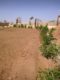 Farm Houses Plots Land on installments near DHA City and Bahria Town Karachi
