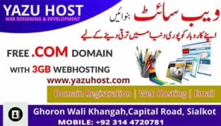 Free Domain.We Design your Responsive Website in Cheaper Rate With Free Domain