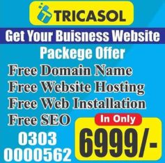 Business Website With Free Domain Free Hosting Free SEO