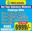 Business Website With Free Domain Free Hosting Free SEO