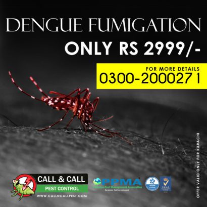 End year Offer.Best Fumigation & pest control Services