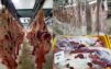 Export All Kinds Of Seafood & Buffalo Cow Goat Lamb Meat & Chicken Feet