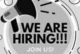 HIRING.Female Coordinator Required For Medical