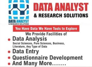 Data analyst & Research Solution Services in Pakistan