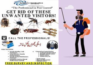 Best Fumigation Services For Companies,Offices & Houses