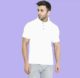 Polo shirts in Different Colours