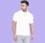 Polo shirts in Different Colours 2