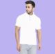 Polo shirts in Different Colours 2