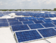 Deals In The Said Electrical System SSS