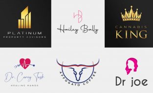 High Quality,most creative & Professional Logo Design for You