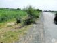 Land for sale.for farm house & agriculture