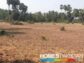 Land for sale.for farm house & agriculture