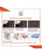 Cockroach Bait Box | WBM Home Online in Pakistan