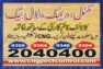 Bed Bugs Heat Treatment Technology